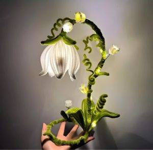 Mô hình lồng đèn