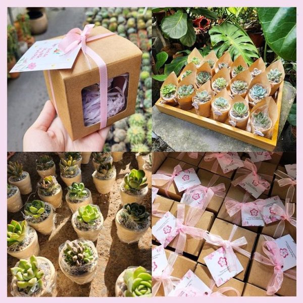 3 set hoa sen đá nâu – Món quà nhỏ, tình cảm lớn - Hình ảnh 2