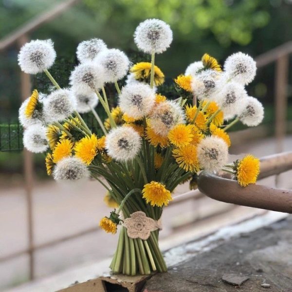 Set hoa bồ công anh – mang theo ước mơ bay xa - Hình ảnh 3