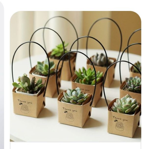 3 set hoa sen đá nâu – Món quà nhỏ, tình cảm lớn - Hình ảnh 3
