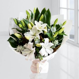 hoa lily trắng