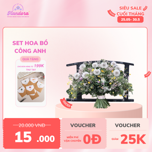 Hoa bồ công anh